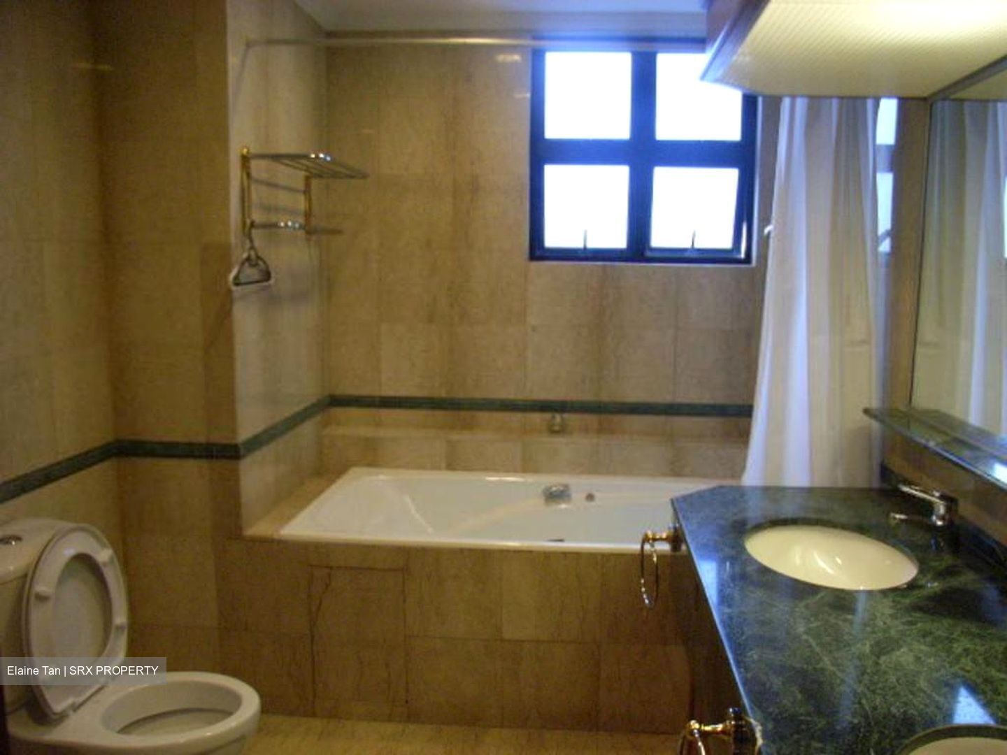 Holland Peak (D10), Condominium #426996251